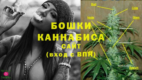 СК Осташков