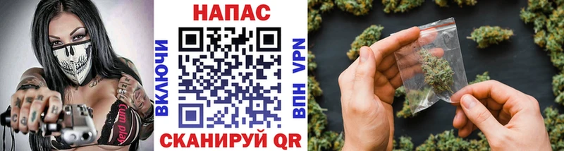 МАРИХУАНА план  купить закладку  Кандалакша 